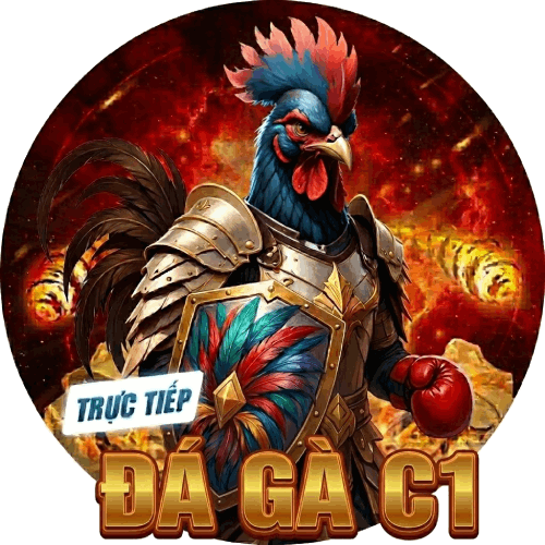 Đá gà C1