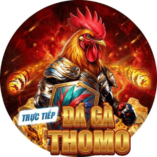 Đá gà thomo