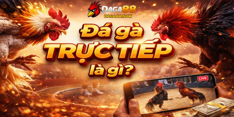 Đá gà trực tiếp là gì?