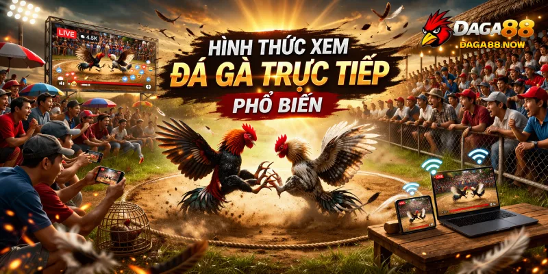 Hình thức xem đá gà trực tiếp phổ biến