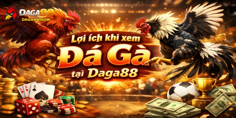 Lợi ích khi xem đá gà tại Daga88