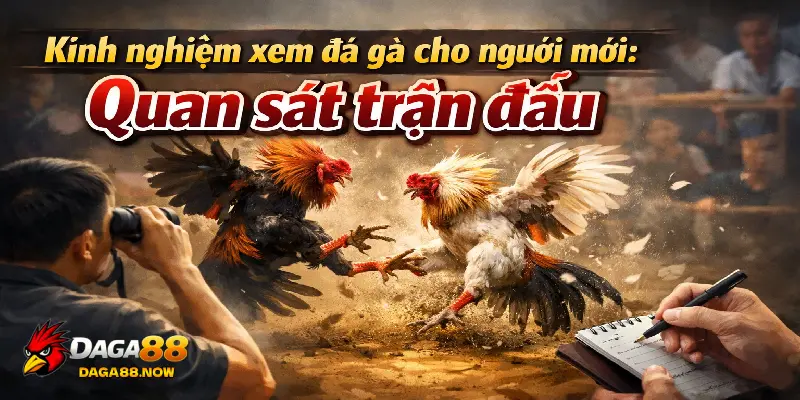 Quan sát trận đấu