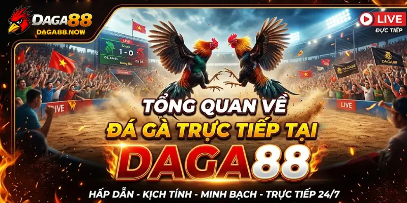 Tổng quan về DAGA88