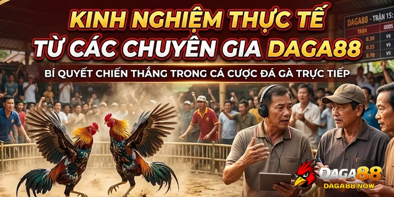 Kinh nghiệm thực tế từ các chuyên gia DAGA88